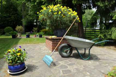 Pflege rund ums Haus